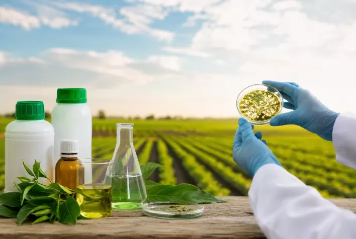 Biofertilizantes avançam no Brasil e consolidam nova era da agricultura sustentável com foco em produtividade e eficiência